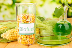 Warton biofuel availability